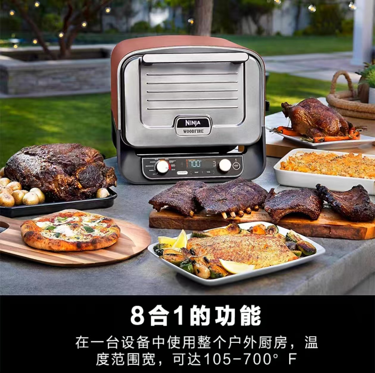 Oven Pizza Luar Ruangan 2026 u - Camping Cooking Electric ulasan dan harga